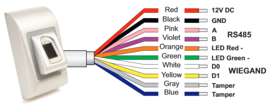 1FP Wiring Diagram